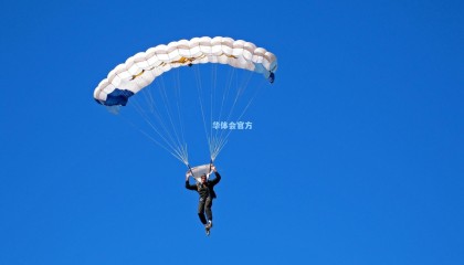 坚韧归来，伤病康复背后的故事与希望