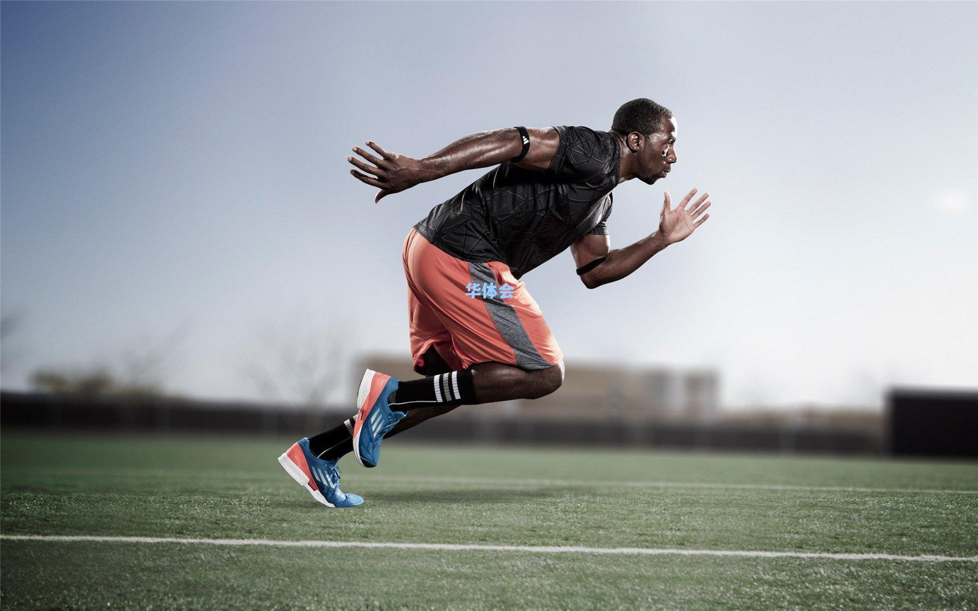 安徽民间篮球联赛正式启航 李金生，基层赛事是中国篮球活力的根基